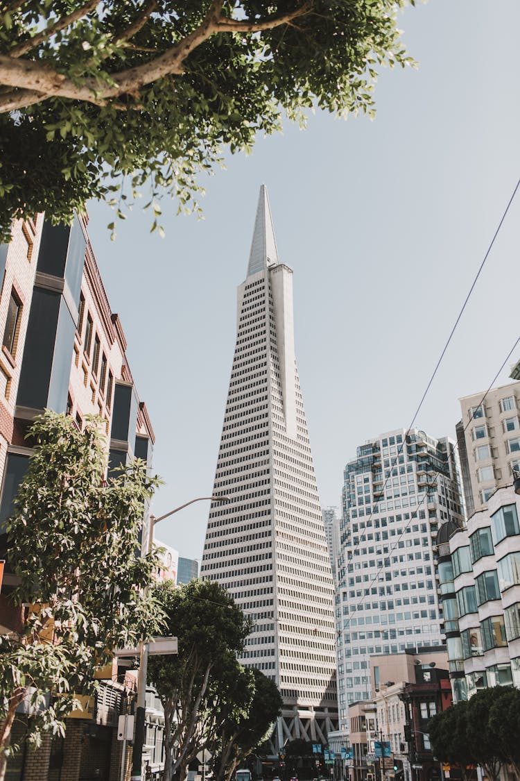 The Transamerica Pyramid In San Francisco