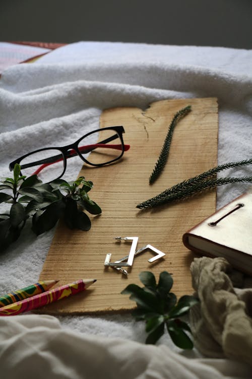 Dark green leaves and pencils composing with angle of copybook and accessories for eyes and ears on beige carton on white soft cloth