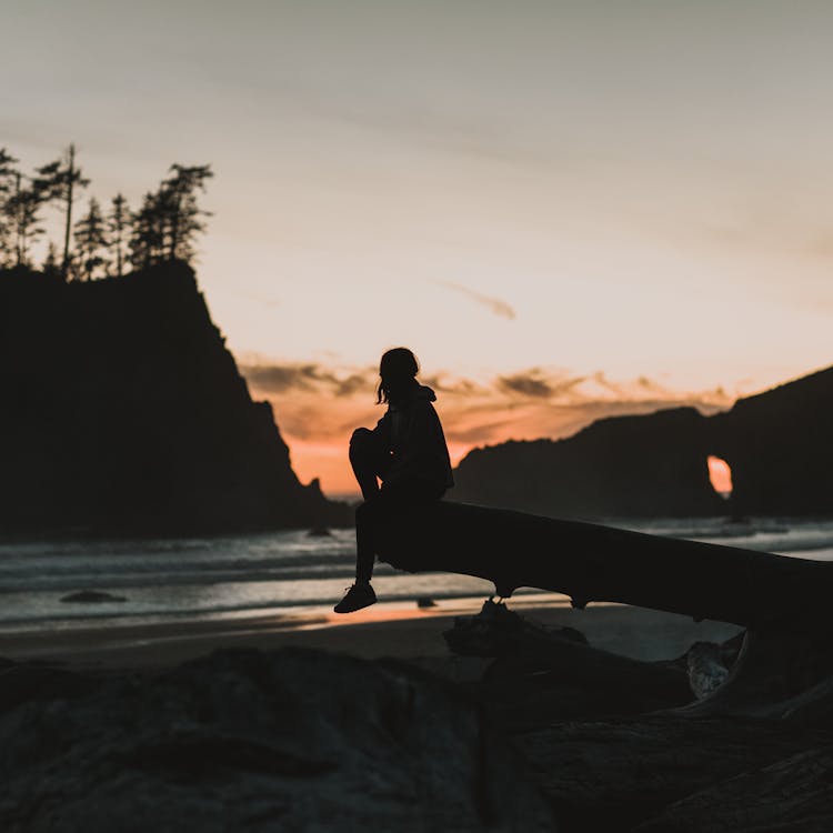 A Silhouette Of A Person Sitting On A Log