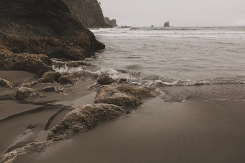 Photo of Waves Crashing on Seashore