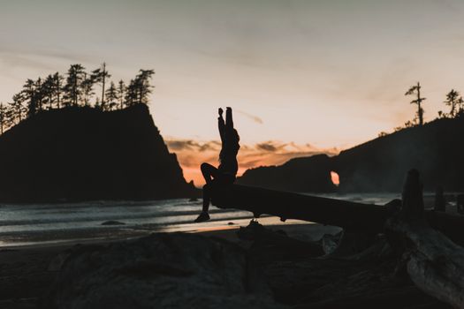 一个人坐在浮木上，背景是迷人的海滩日落