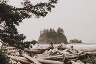 宁静的海边，美丽的海滩与浮木和岩石岛相映成趣