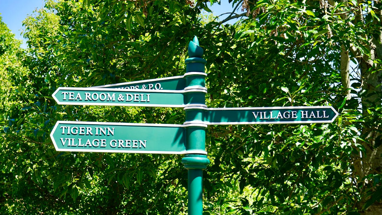 免費 樹附近的綠色道路標誌 圖庫相片
