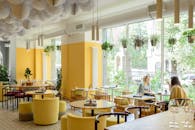 明亮的咖啡厅里，两个女人在郁郁葱葱的植物旁悠闲地交谈