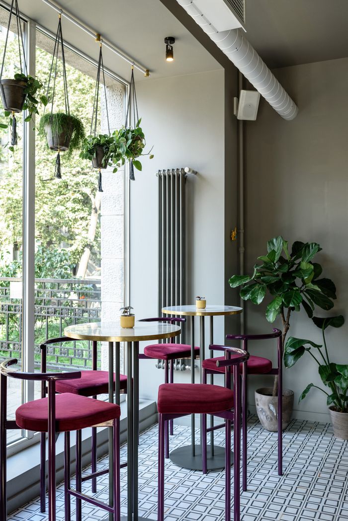 A bright cafe interior with hanging green plants and cosy seating