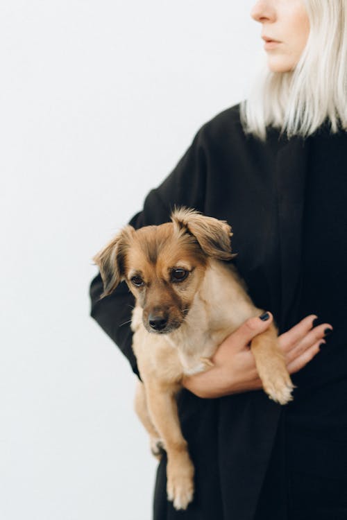 Woman with her pet dog