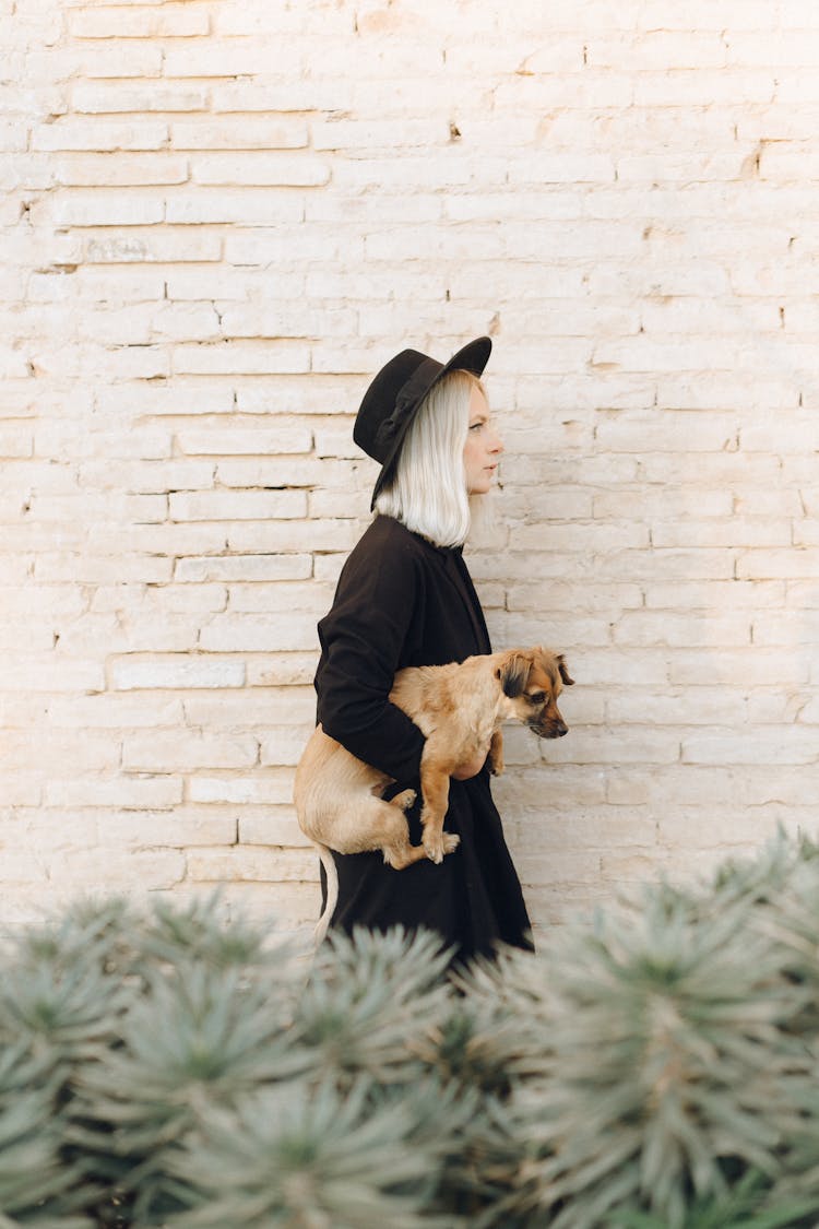 Woman In Black Jacket While Holding Brown Short Coated Dog