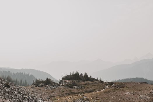 华盛顿州宁静的山景笼罩在雾霭与树木之中