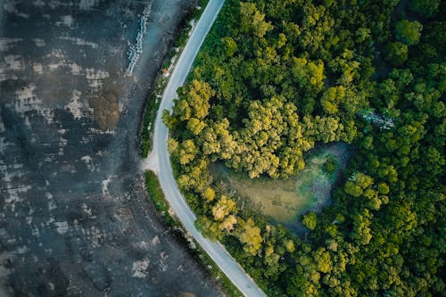 Drone view of long narrow asphalt road for automobiles between pond in verdant woodland and coastline of ocean