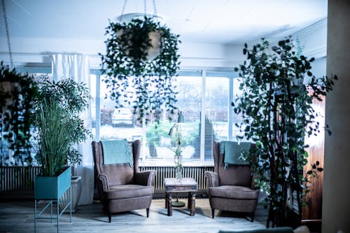 Interior of bright living room decorated with green pot plants and white blinds on window