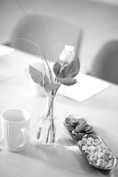 Black and white of delicate flower and leaves in transparent vase between cup and cookies and cashew nuts on long plate on table in bright room