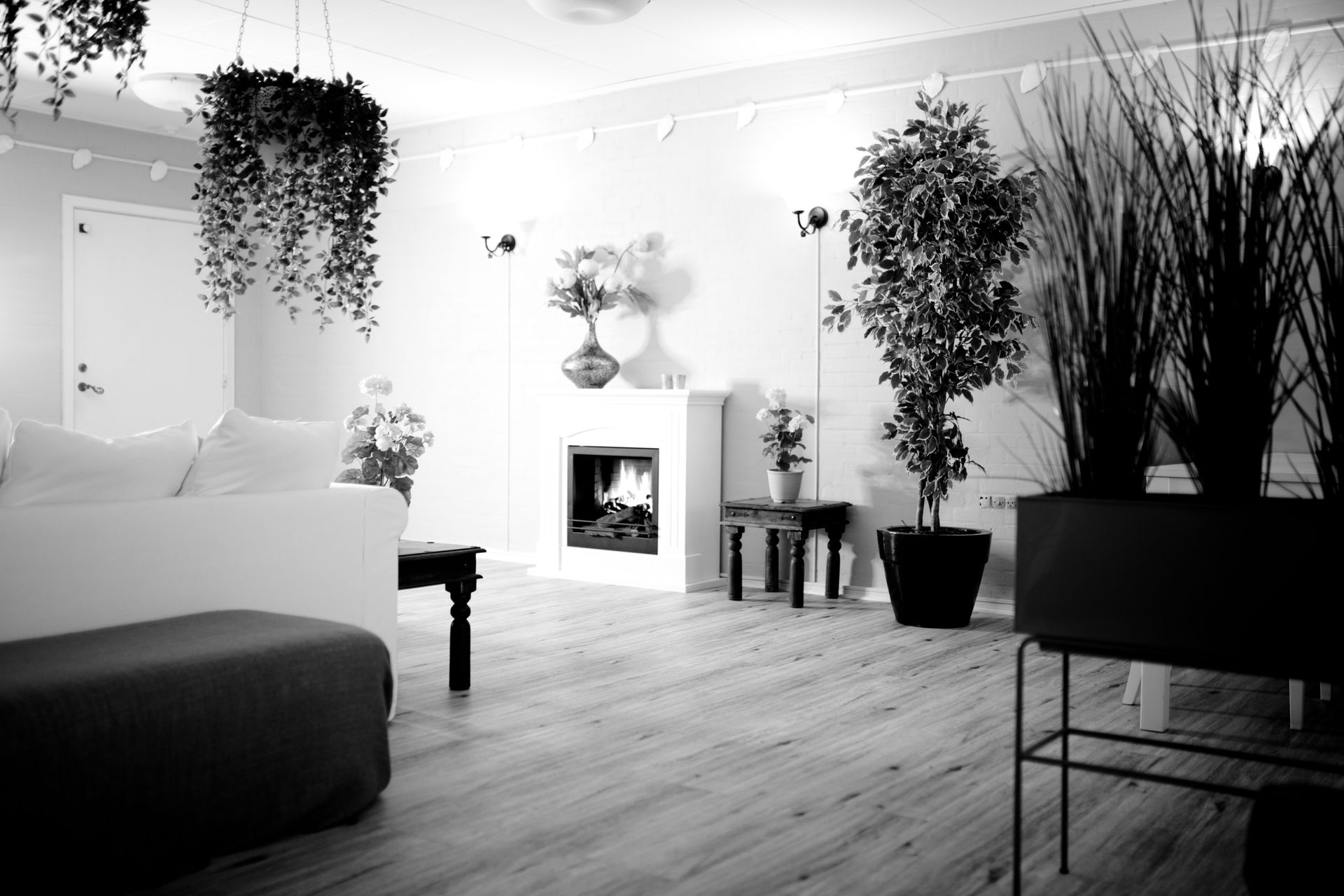 Elegant black and white living room design with cozy fireplace and plants.