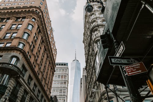 무료 1 WTC, 건축, 금융의 무료 스톡 사진