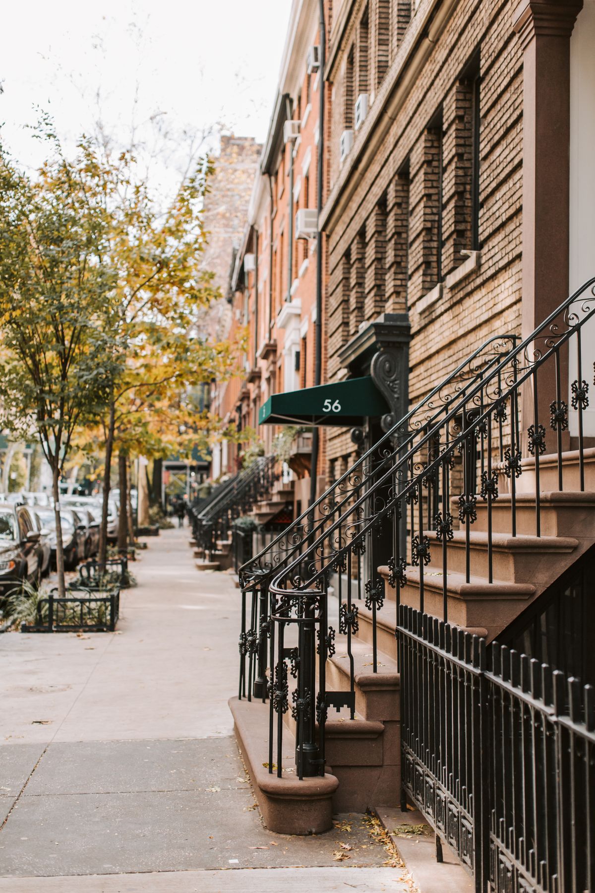 A tree-shaded Brooklyn street lined with brownstones.