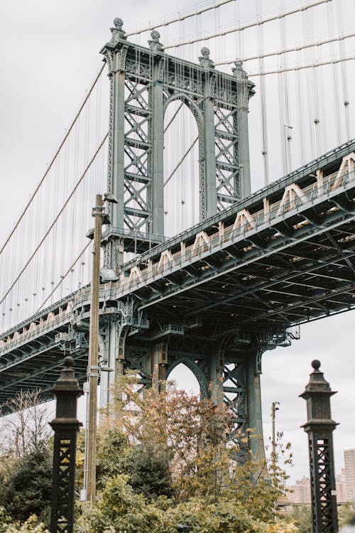Foto stok gratis jembatan gantung, jembatan manhattan, Manhattan