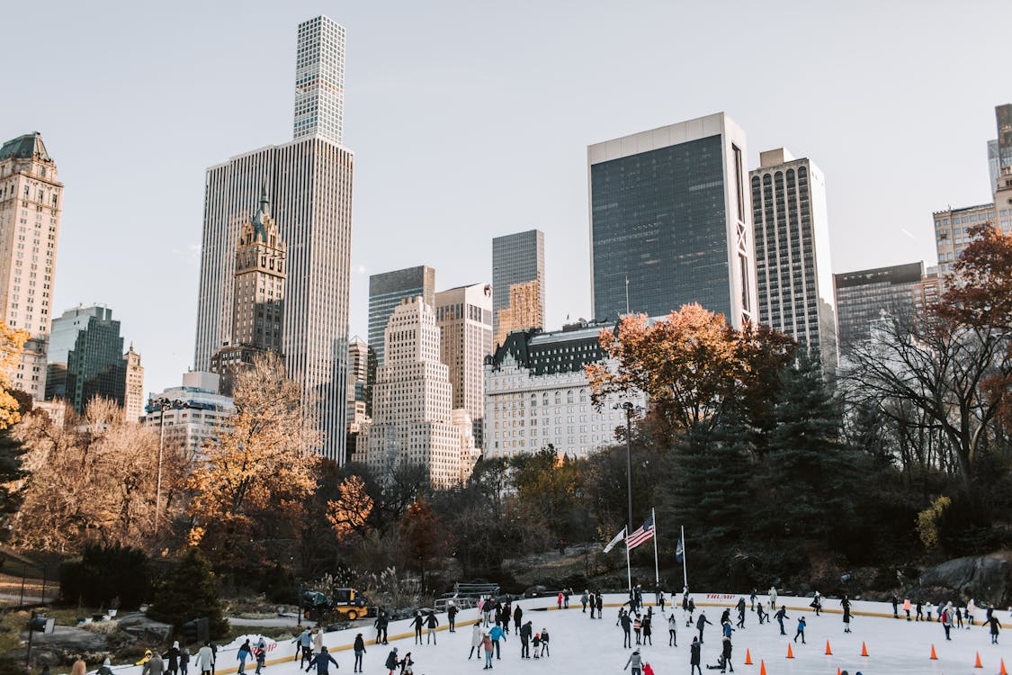 Fotobanka s bezplatnými fotkami na tému architektúra, budovy, Central Park