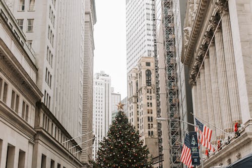 Christmas Tree Near White Concrete Building on Wall Street