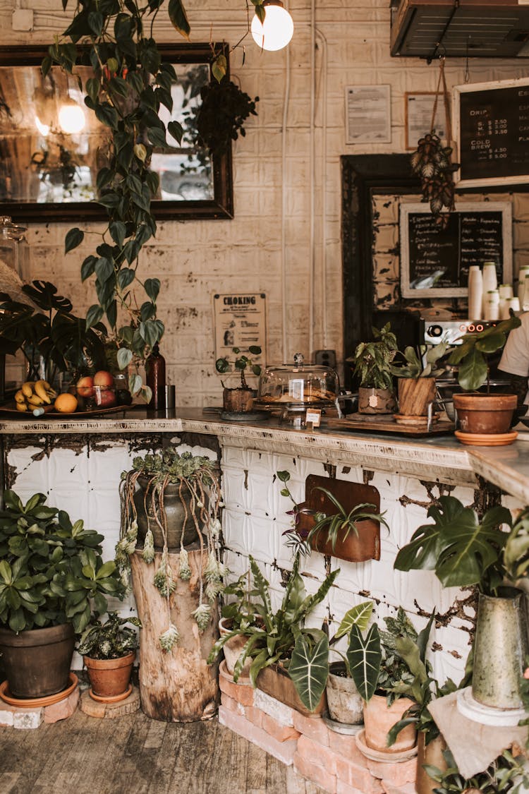 Creative Interior Of Rustic Cafe Decorated With Assorted Plants