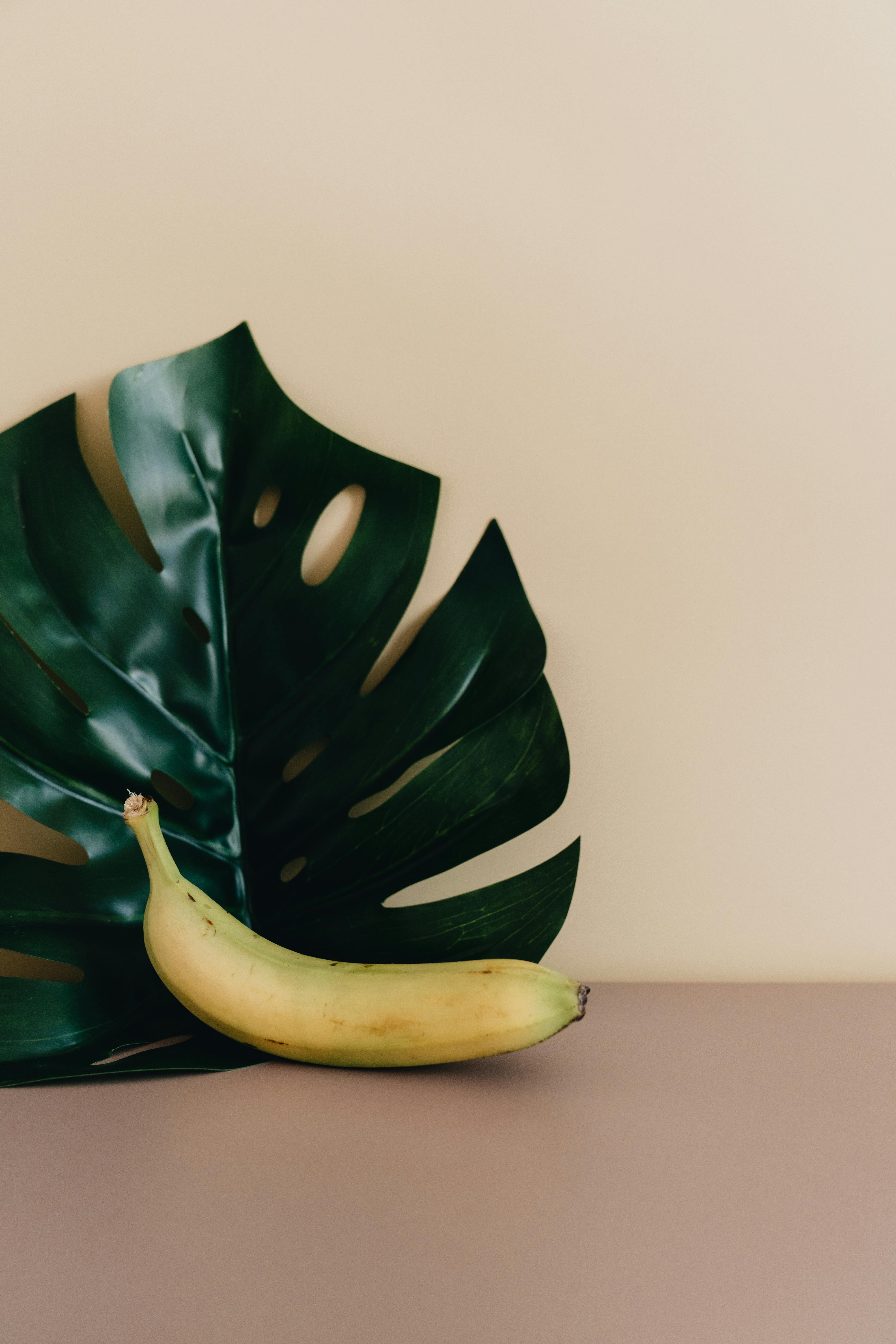 Banana placed on a Monstera leaf against a neutral background, showcasing minimalist design.