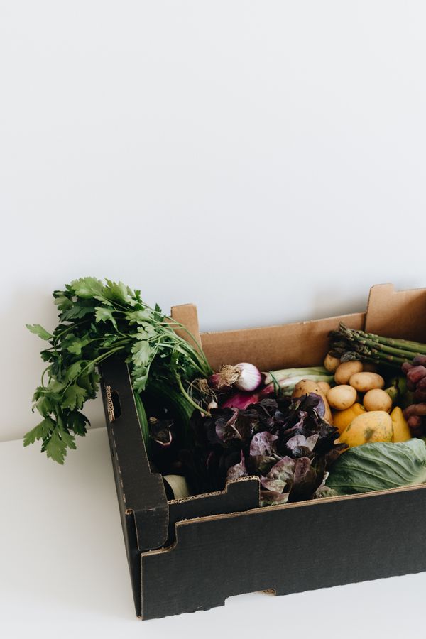 Organic Box