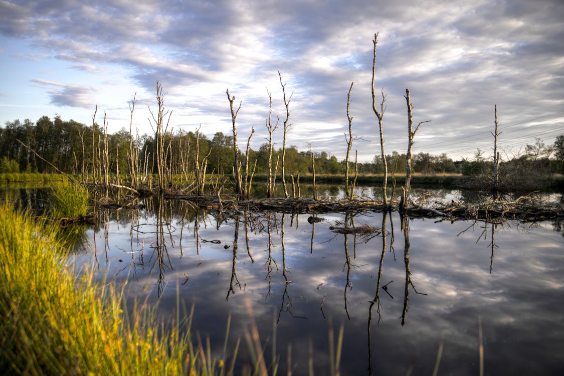 Gratis lagerfoto af aften, bane, eng