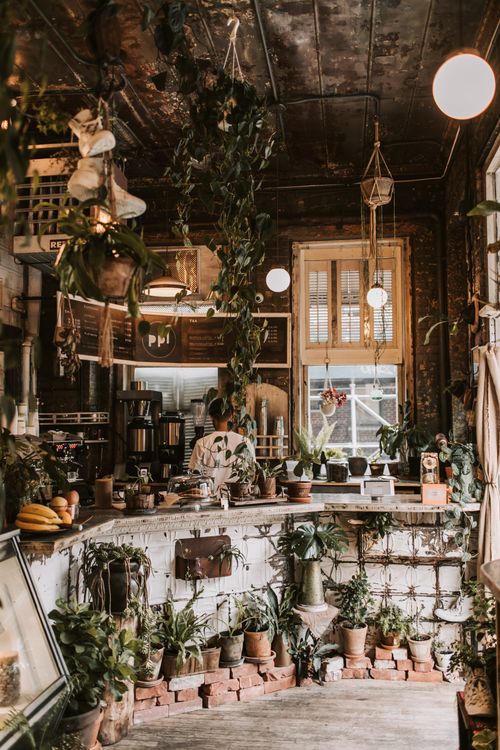 Free Charming rustic cafe in New York featuring lush plants and unique decor. Stock Photo