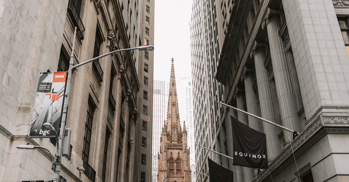 Inside the Investing Landscape: A 2025 Overview