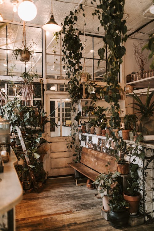 Interior of a Plant Store 