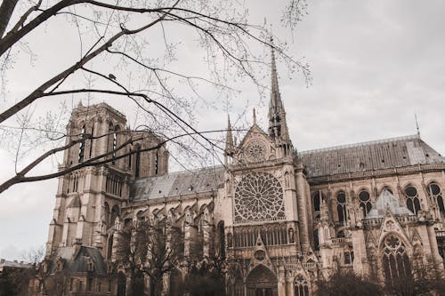 Gratis lagerfoto af arkitektur, Frankrig, katedral