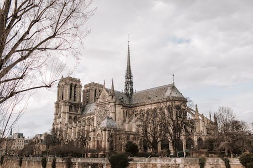 Free Leafless Tress around Notre-Dame de Paris Stock Photo