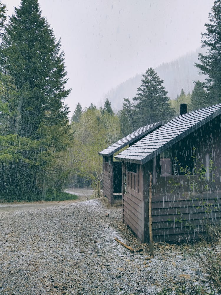 Wooden House In Forest On Rainy Day