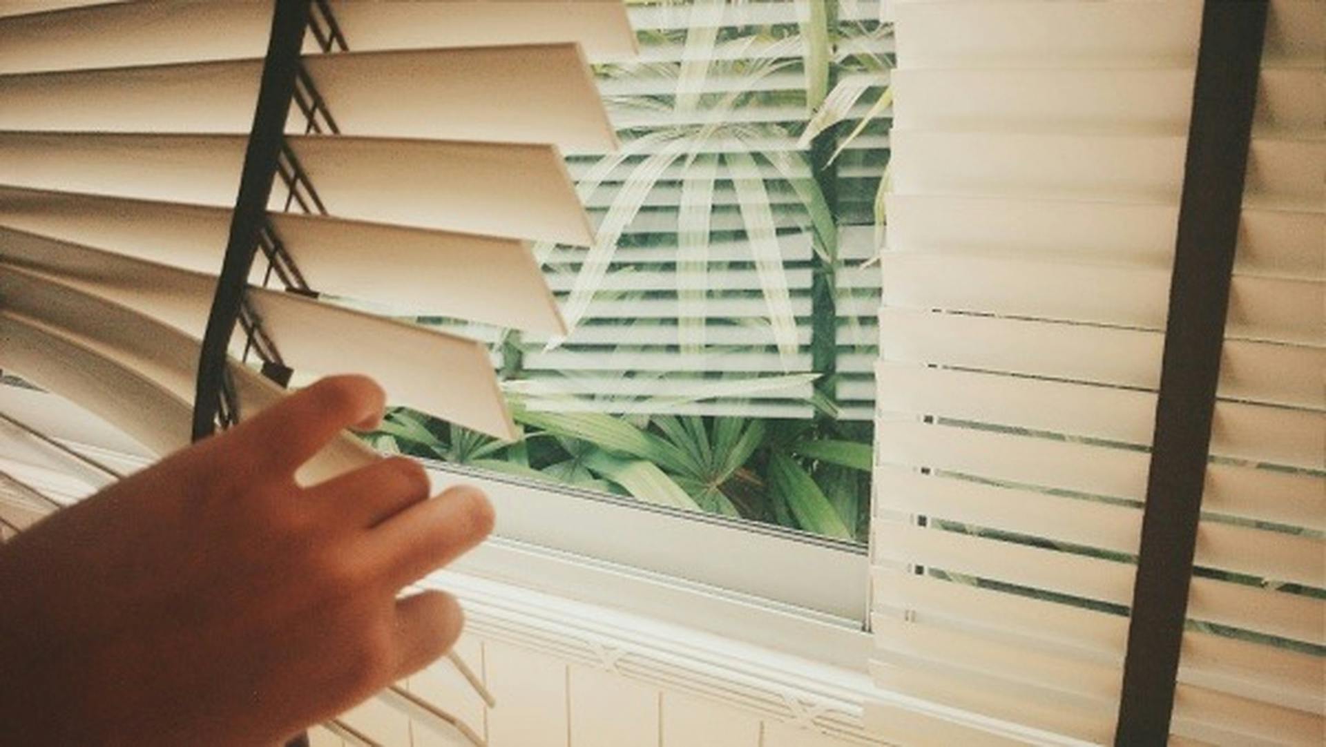 Hand adjusting window blinds with lush green foliage outside, creating a serene atmosphere.