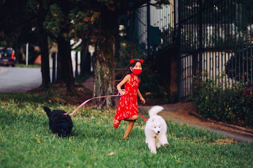 Free Cheerful Girl In Red Dress Running With Dogs On Leash Outdoors Stock Photo