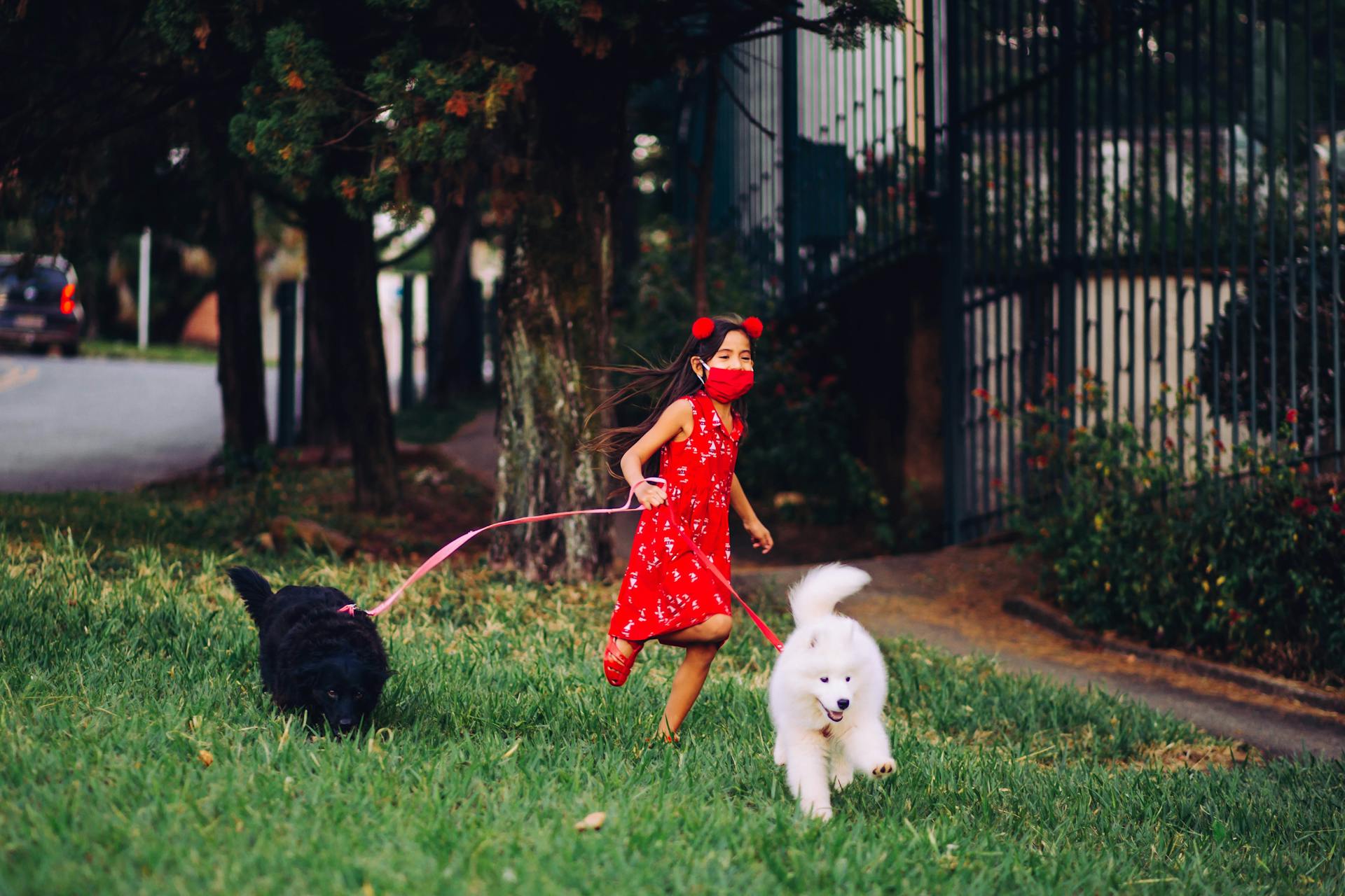 Une joyeuse fille en robe rouge qui court dehors avec des chiens en laisse.