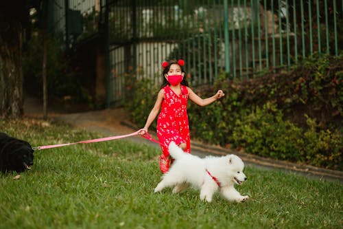 Fotos de stock gratuitas de actividad, adorable, al aire libre