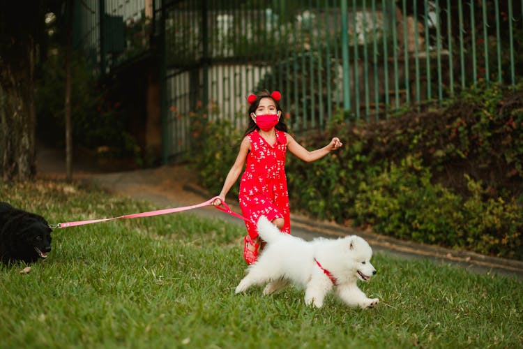 Adorable Kid Walking In Park With Dogs