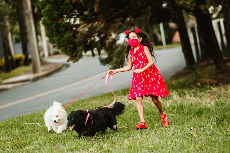 Girl Running With Dogs Along Lawn