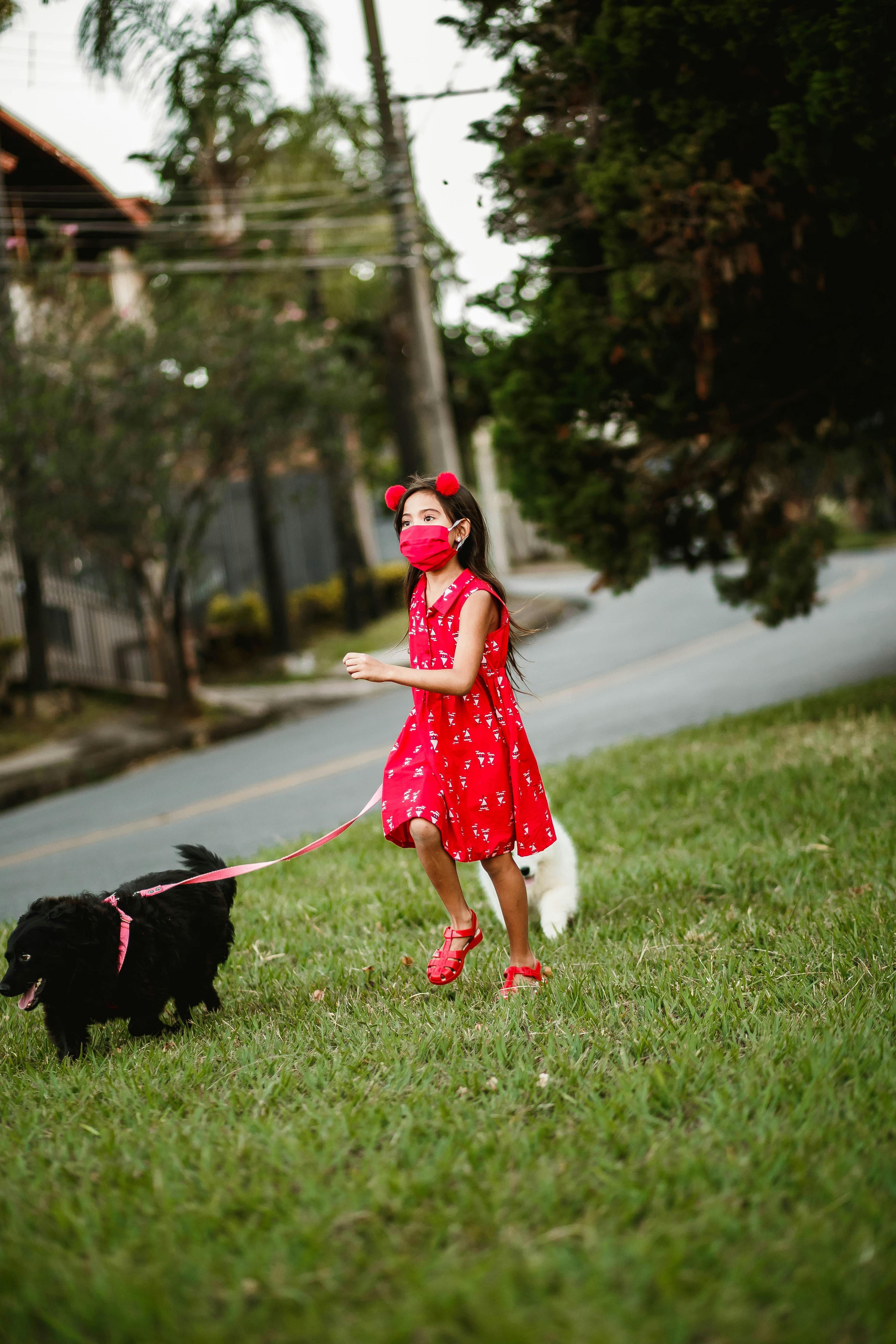 Girl playing with dogs on lawn