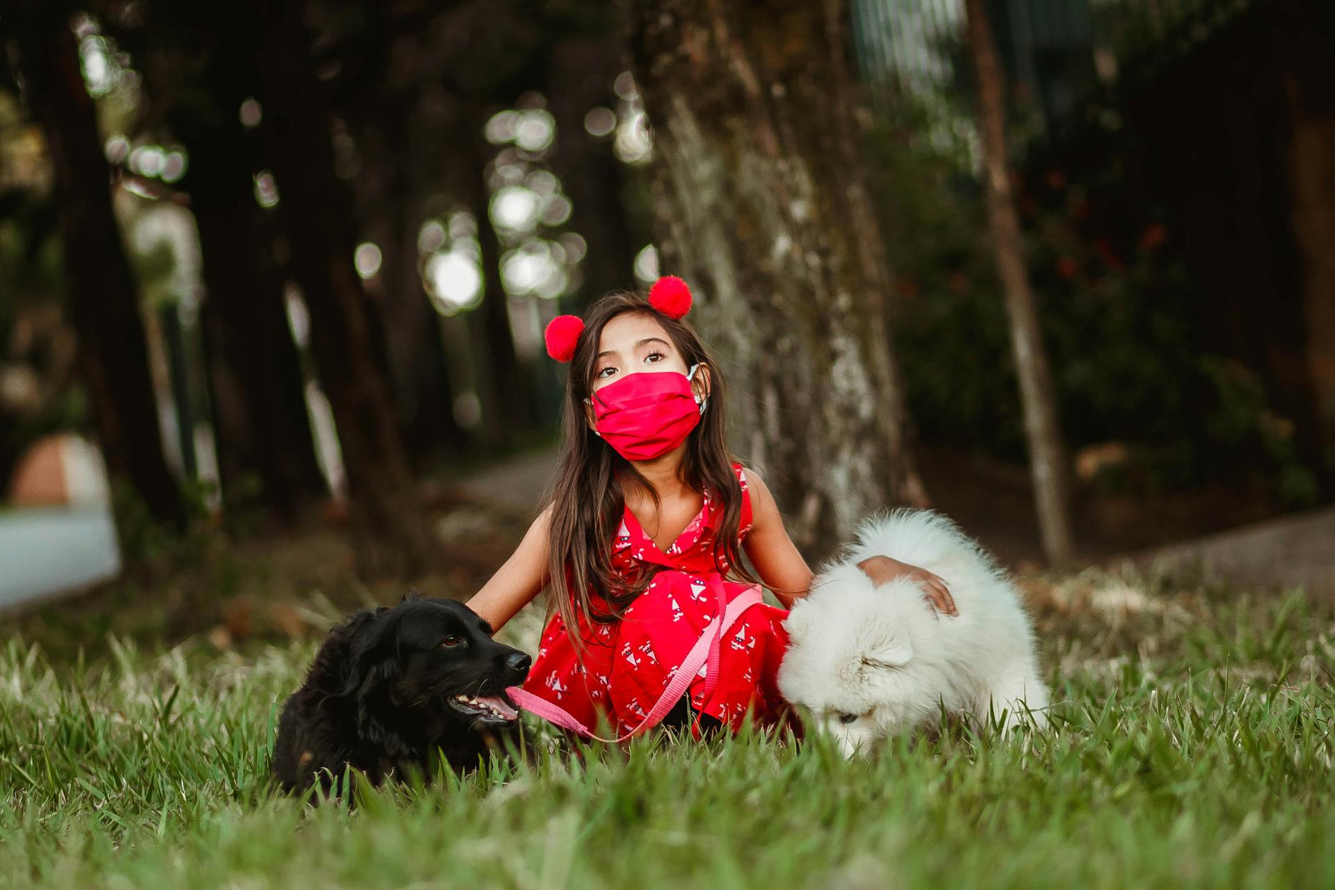 Rustig meisje met beschermend masker zit op het gras in het park en knuffelt vriendelijke honden tijdens de COVID-19-epidemie