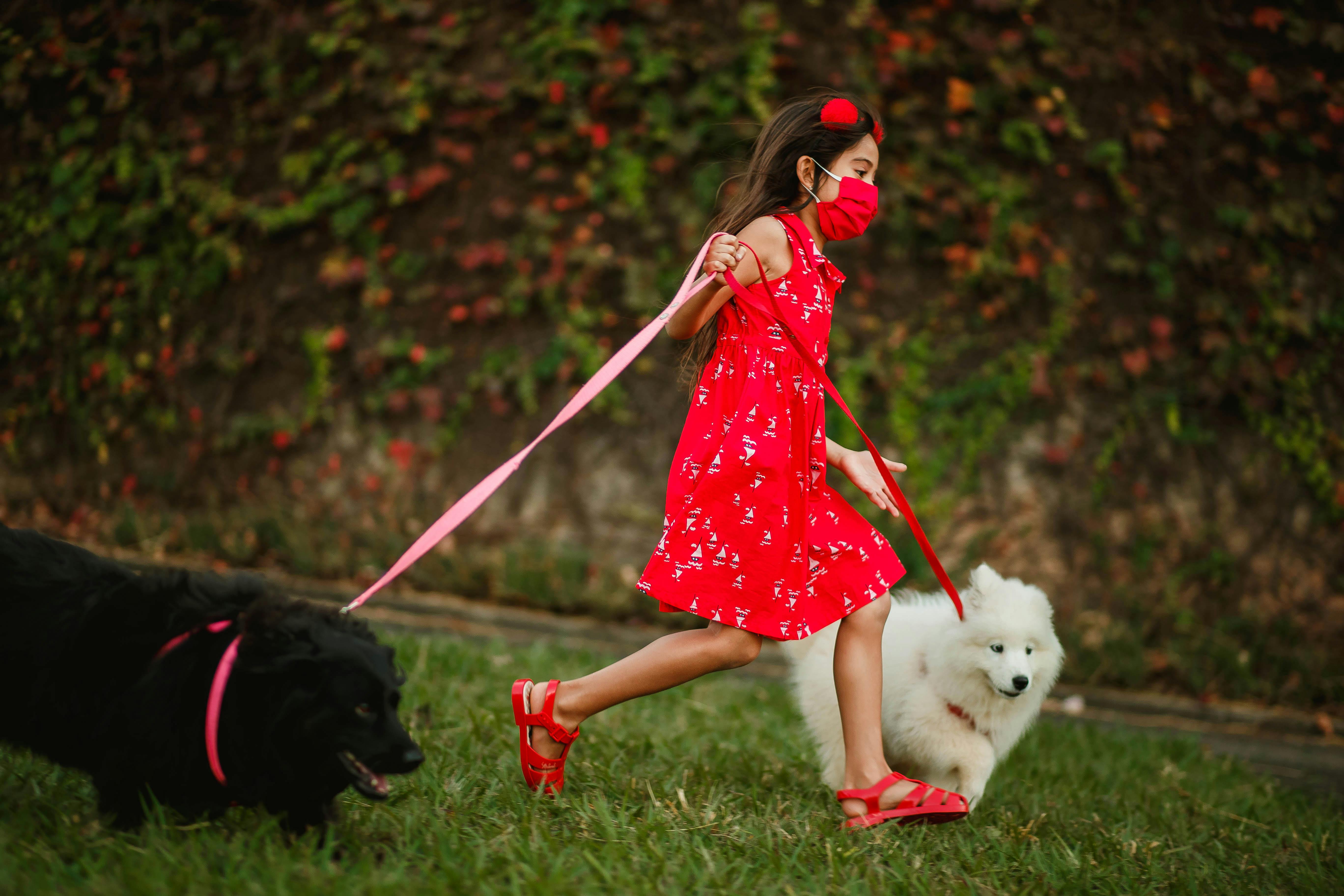 girl walking with cute dogs on lawn