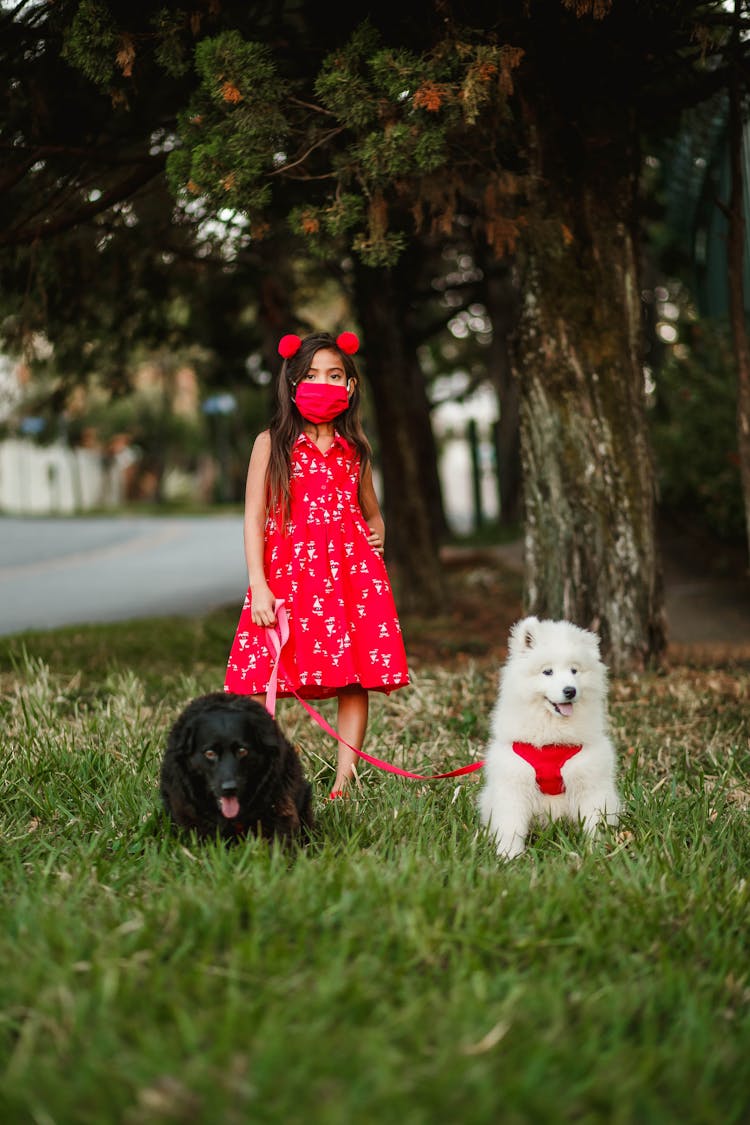 Child With Charming Dogs In Park