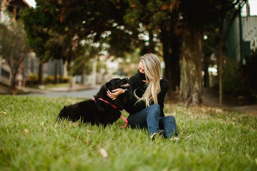 Free Serene female owner in protective mask stroking charming fluffy dog while sitting on lawn during COVID 19 Stock Photo