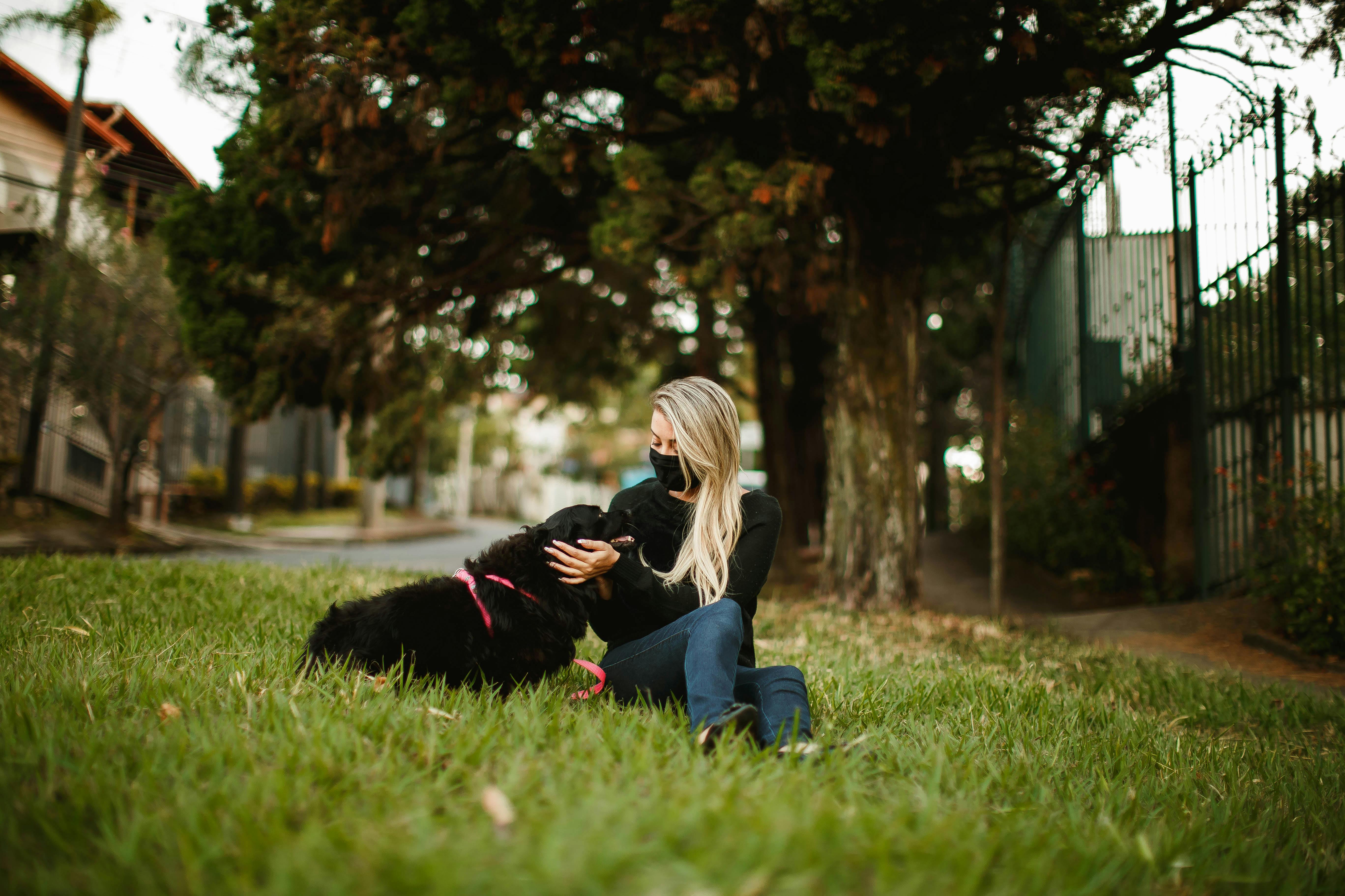 Tranquil female in protective mask caressing friendly fluffy dog while sitting on green grass during coronavirus epidemic