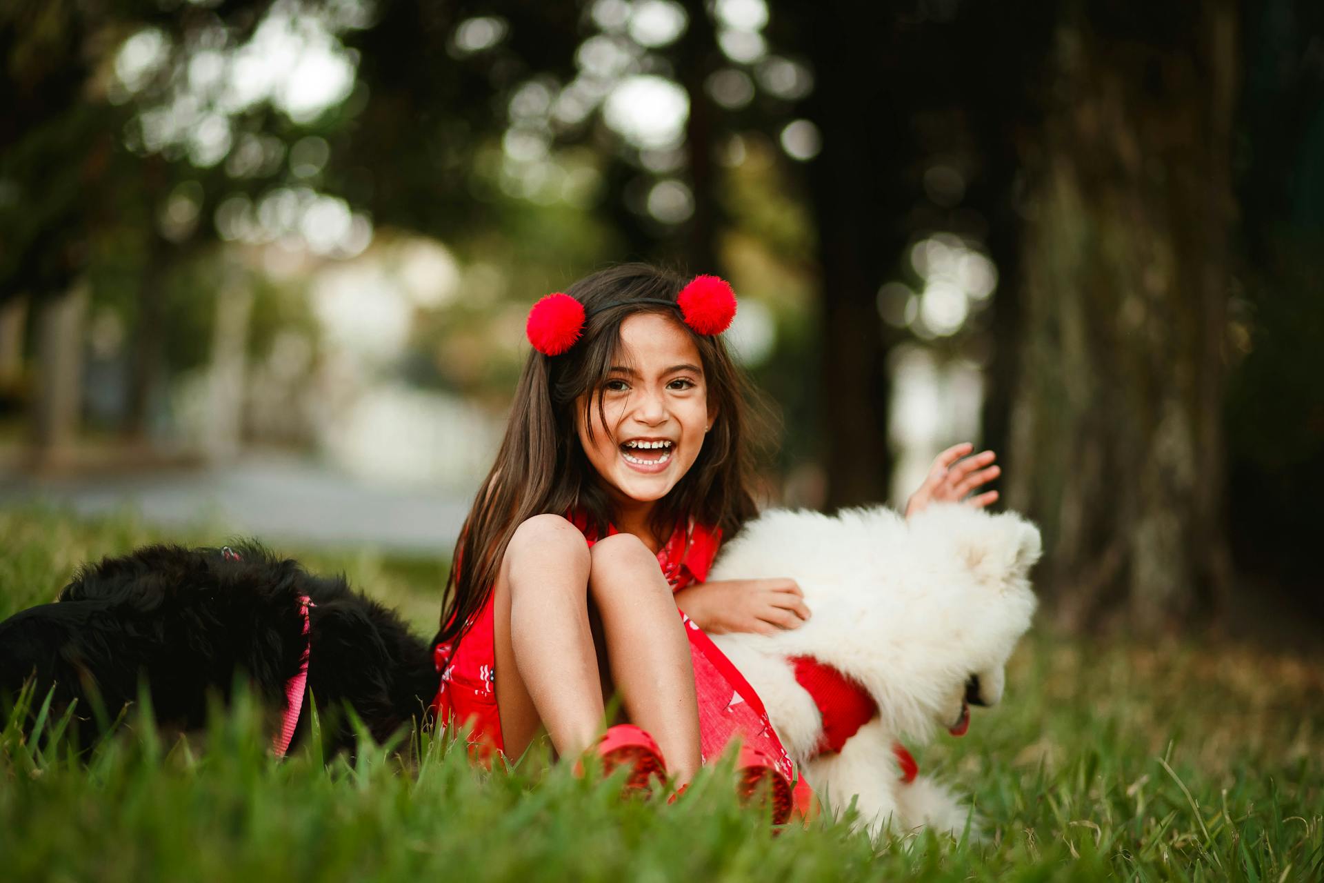 Delighted girl with cute dogs in park