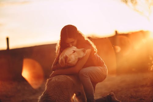 Pretty young female in casual wear cuddling and kissing golden retriever dog while standing on knee in street at sundown