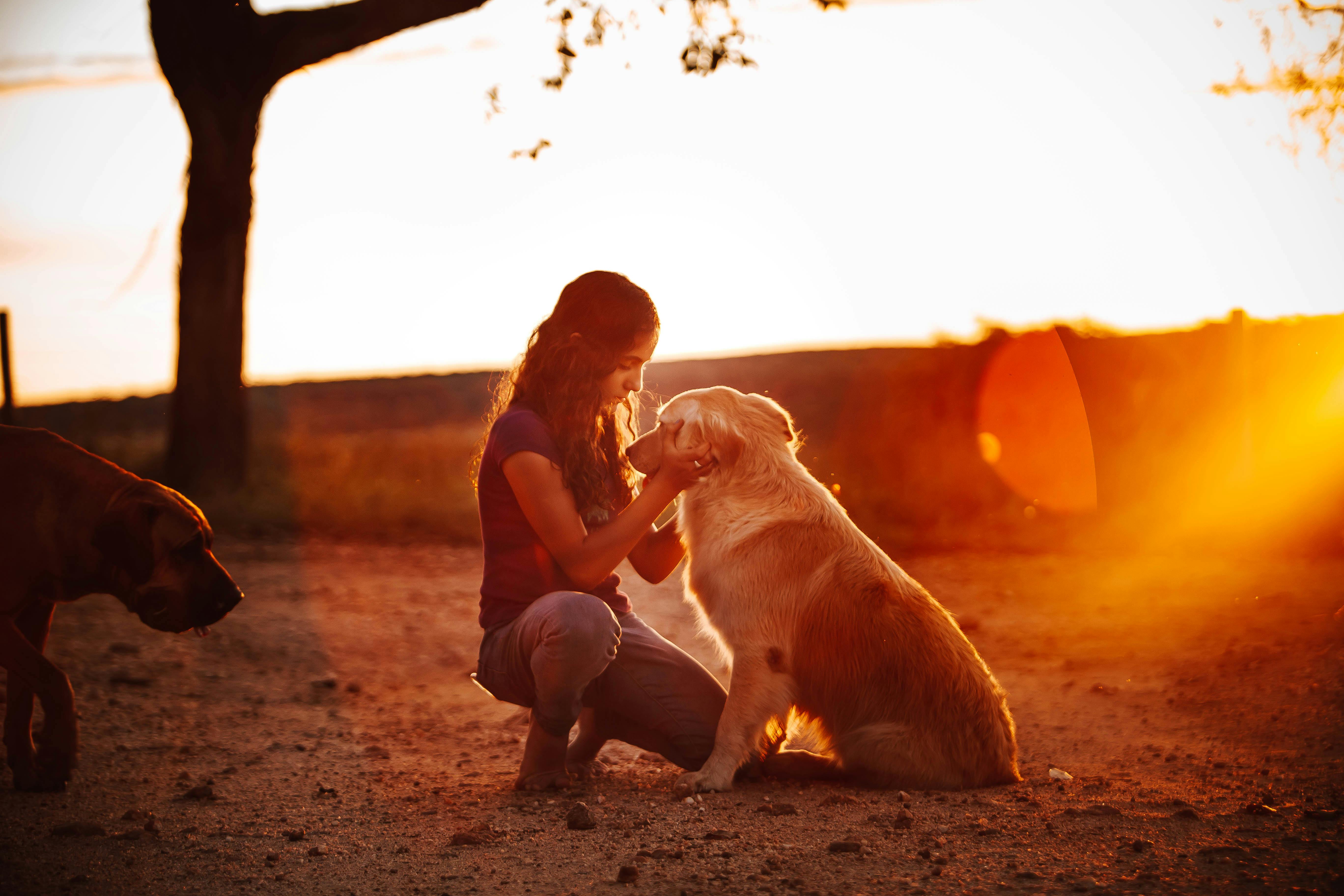 Pet Expert Kristen Levine Offers Pet Health, Safety and Wellness Tips for National Pet Month on TipsOnTV — Photo by Helena Lo