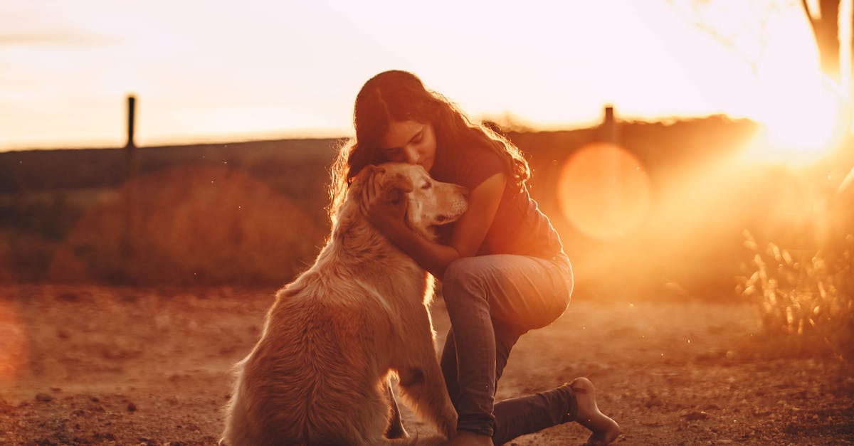 Full body of young long haired female in casual wear cuddling Golden Retriever dog while standing on knee barefoot in open air at dusk