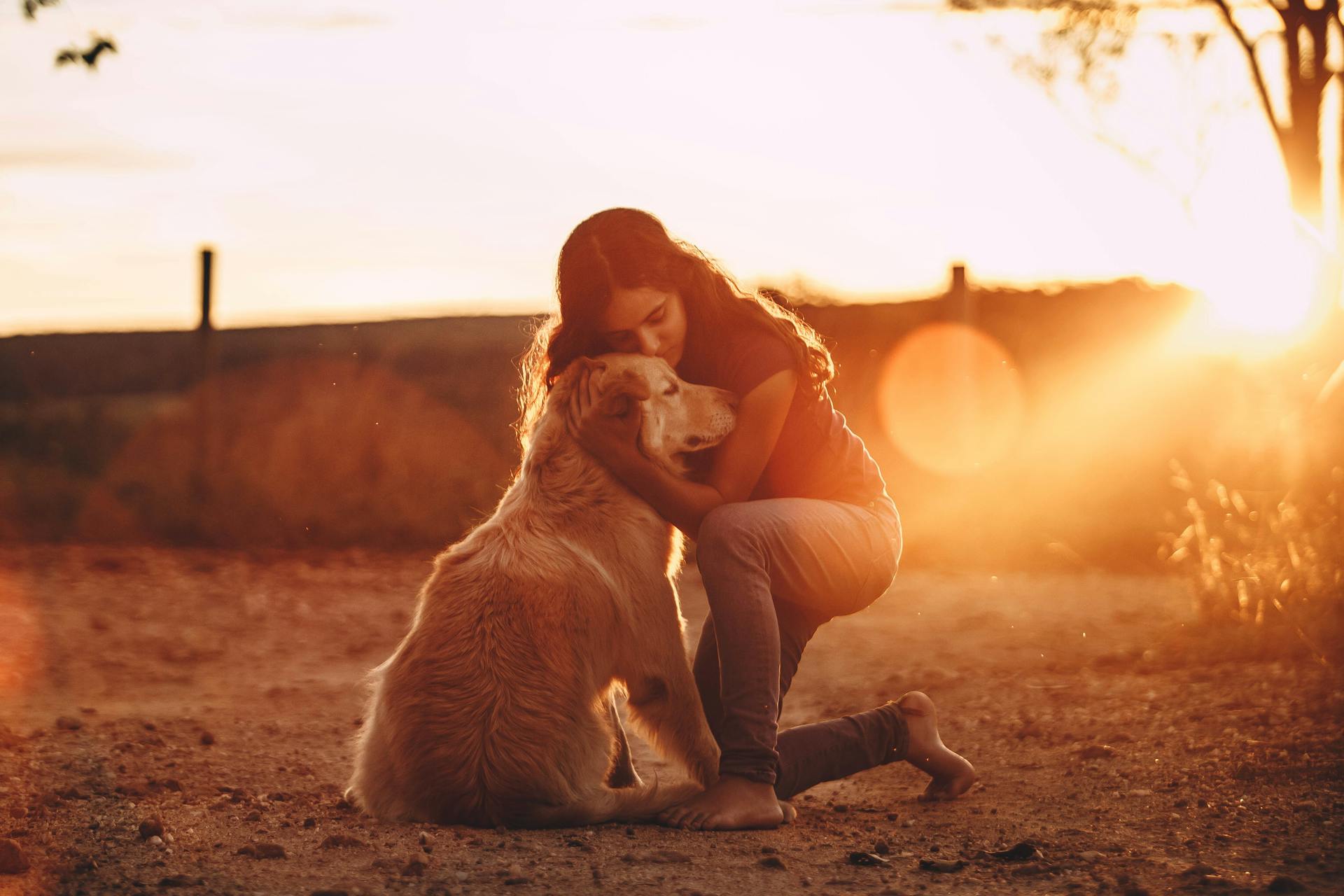 Volledige lichaam van jonge langharige vrouw in casual kleding knuffelen Golden Retriever hond terwijl staan op de knie blootsvoets in de open lucht bij zonsondergang