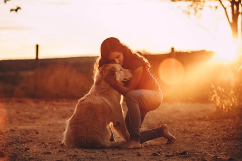 “Sunlight Sharing” Memes Unite Pet Parents Across India