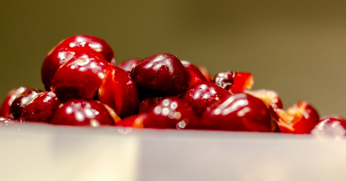 Delicious close-up of fresh, juicy cherries glistening in a bowl, showcasing their vibrant red color. - Evidence evidence guide for tart cherry muscle soreness randomized trial